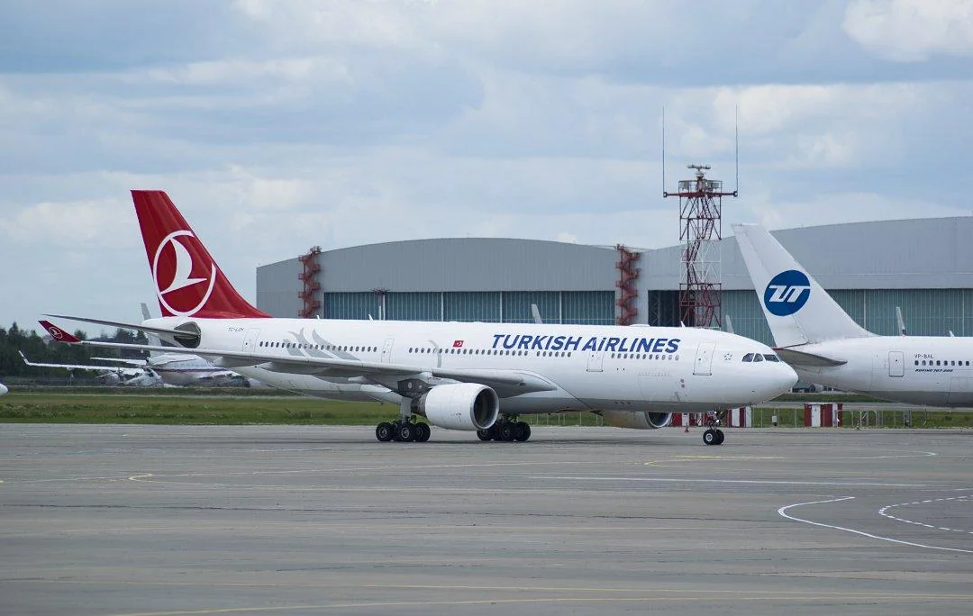 Схема салона Airbus A330-200 Turkish Airlines: 250 мест и ряды без бортовых кресел