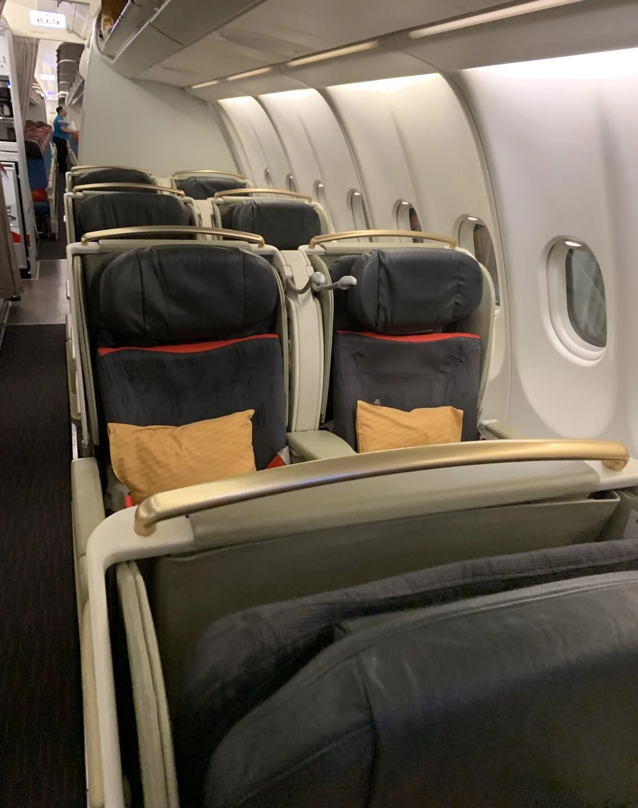 Бизнес-класс Airbus A319 Turkish Airlines, фото 2
