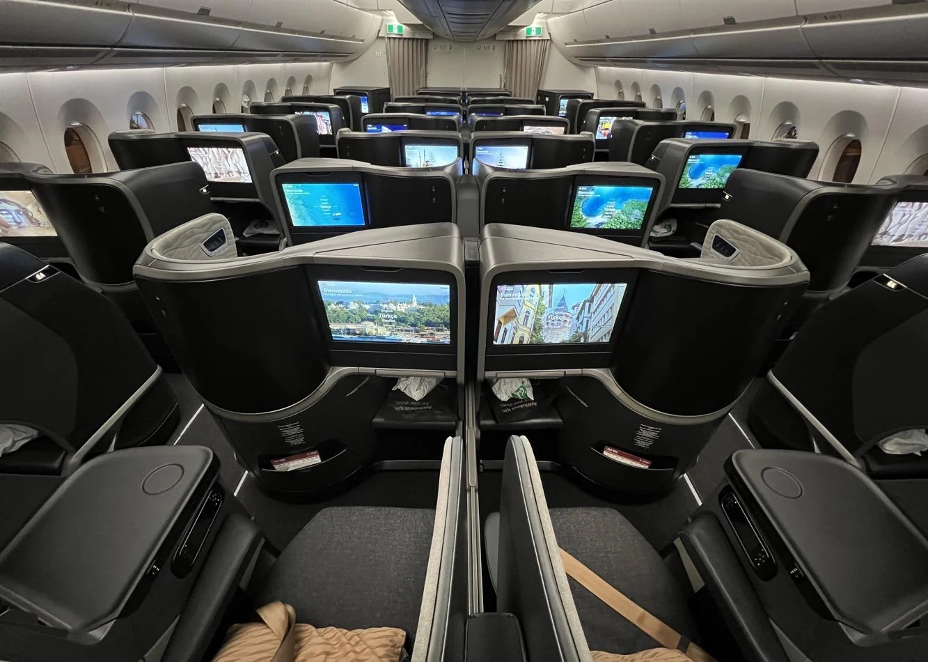 Бизнес-класс Airbus A350-900 Turkish Airlines, фото 6