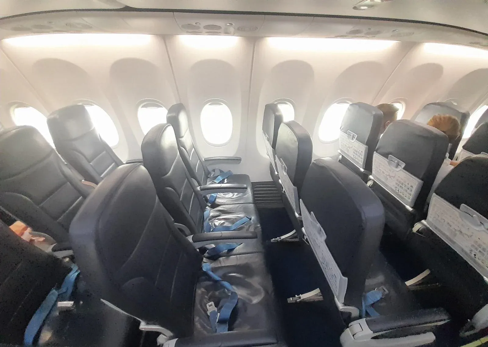 Ряды кресел Boeing 737-800 «Победы» у иллюминаторов при дневном свете